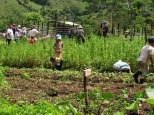 Promueva en regiones del Tequendama y el Alto Magdalena