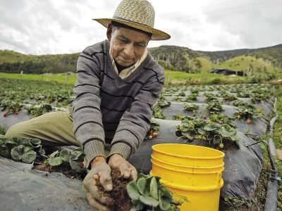 Apoyemos la producción del campo Colombiano