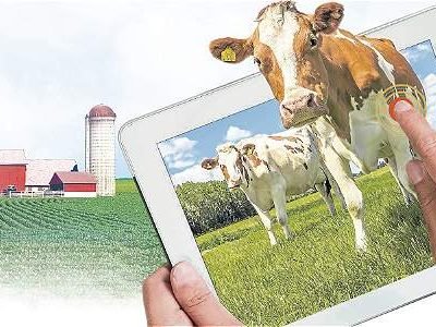 Canales digitales: una oportunidad para el campo Colombiano