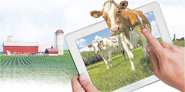 Canales digitales: una oportunidad para el campo Colombiano