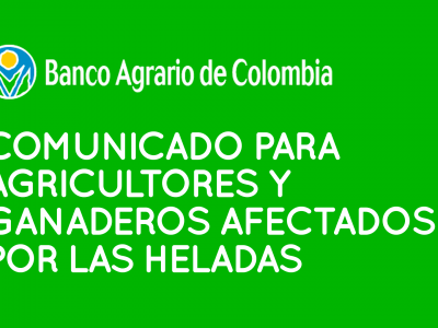 Comunicado del Banco Agrario para los agricultores y ganaderos afectados por las heladas Enero 2020